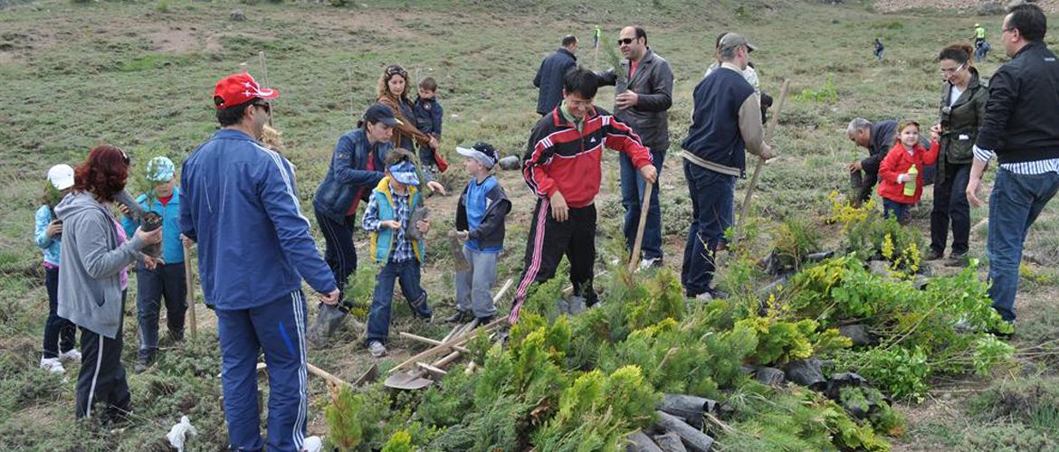 Kayseri Barosu Erciyes Dağı 930 Fidan