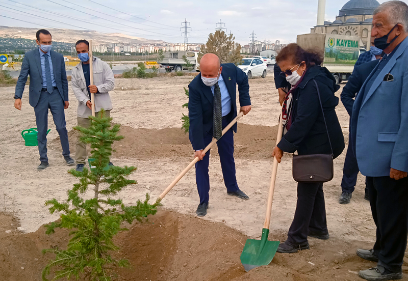 attaroglu_ormanlıgı4